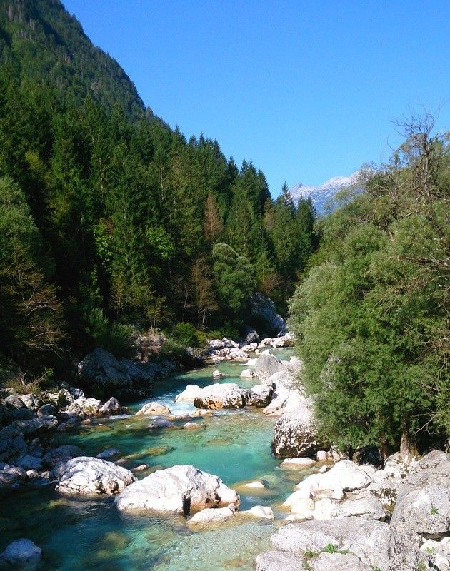 Soča