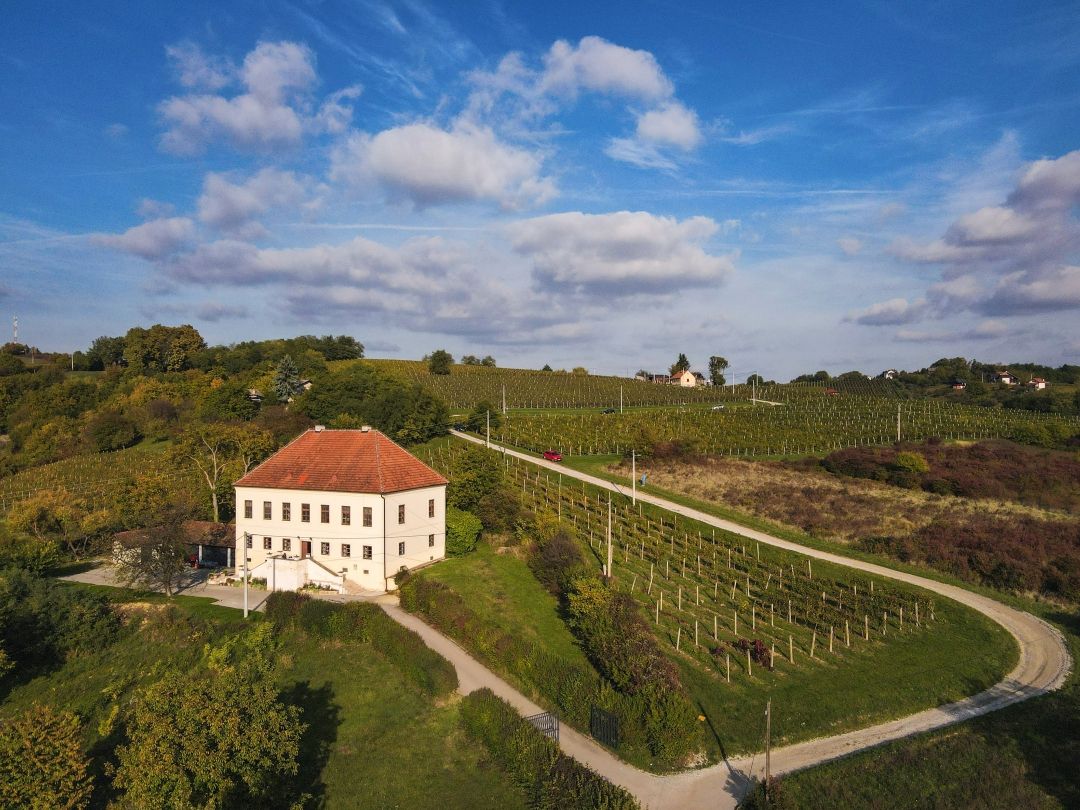 Jedinstven spoj umjetnosti i vina u zelenoj oazi na južnim padinama Medvednice