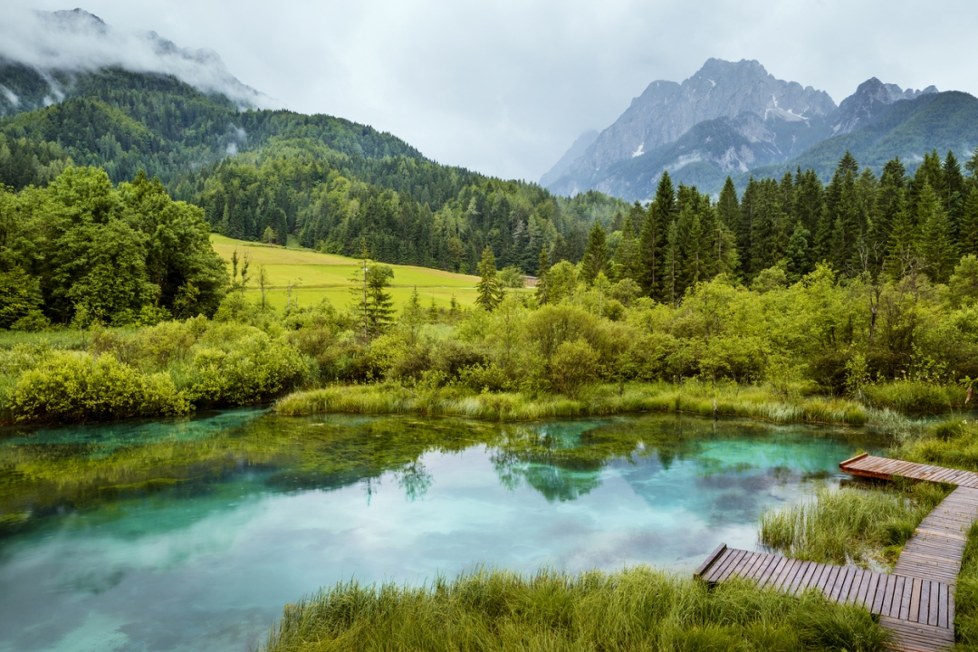 Kranjska gora