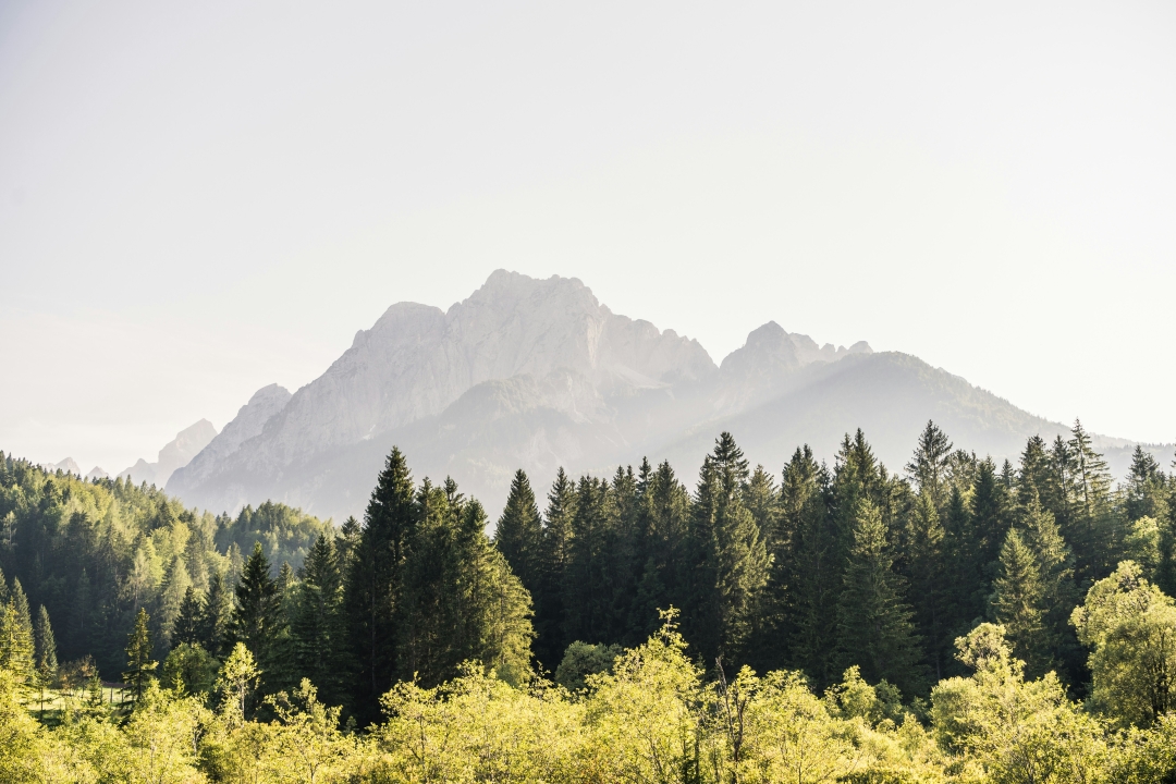 Kranjska gora