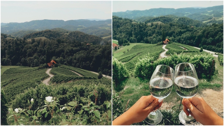 Vinska cesta u općini Kungota