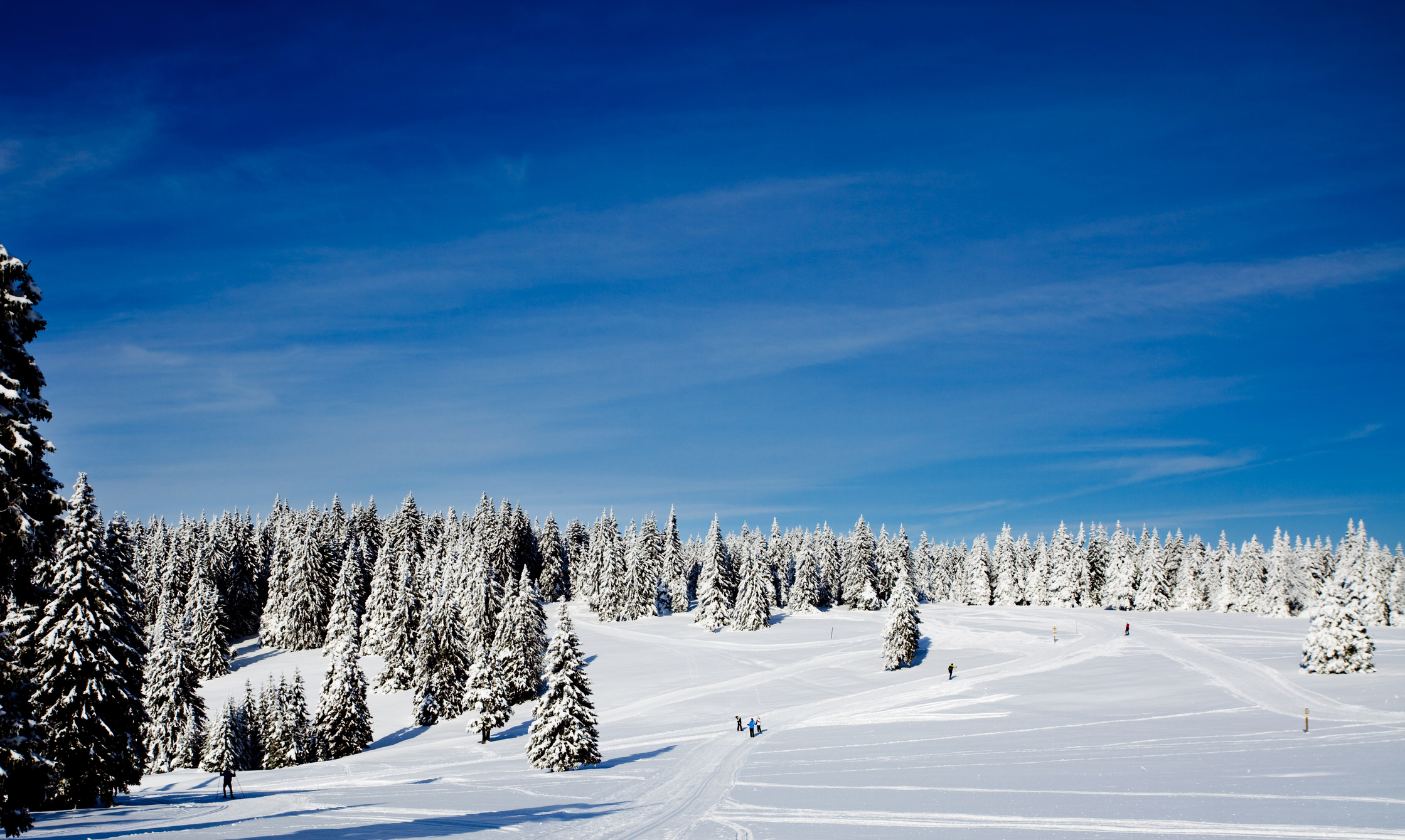 Rogla-Slovenija_iStock-134714055