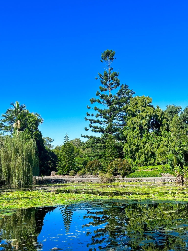 botanički vrt Brisbanea