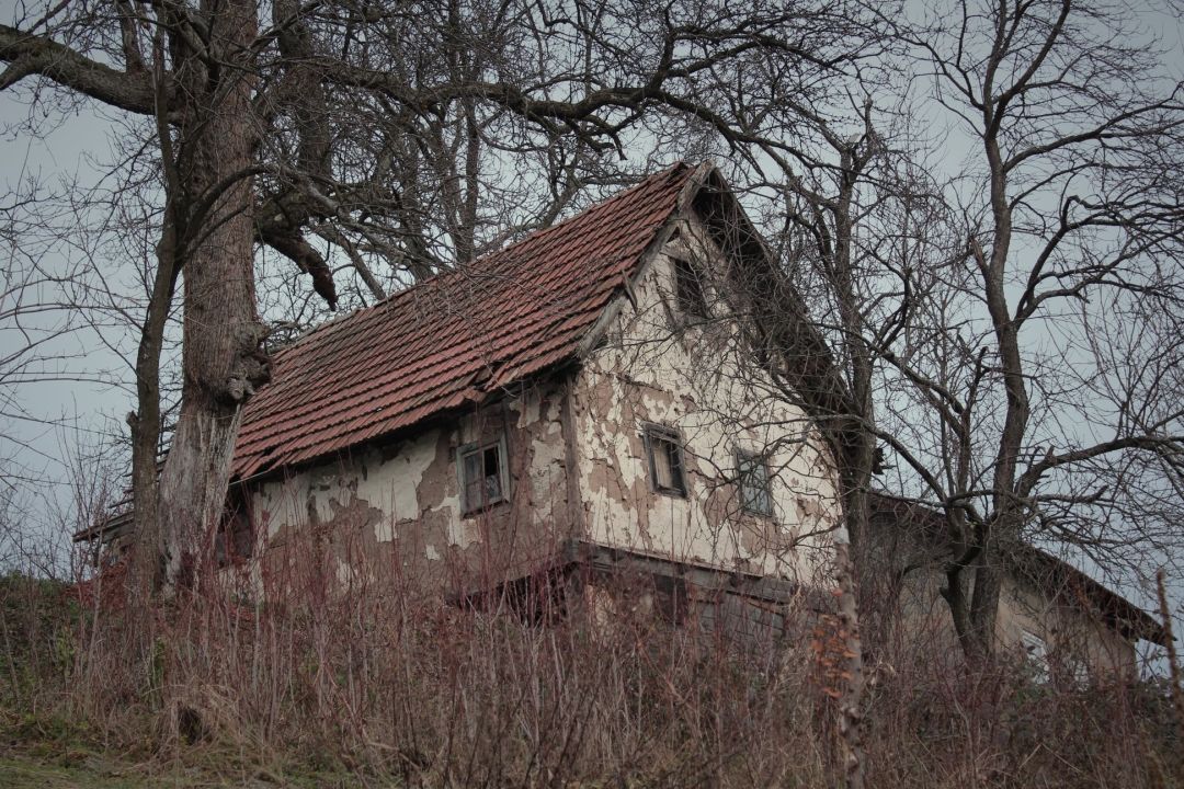 Magdalena Blažević, Sezona berbe