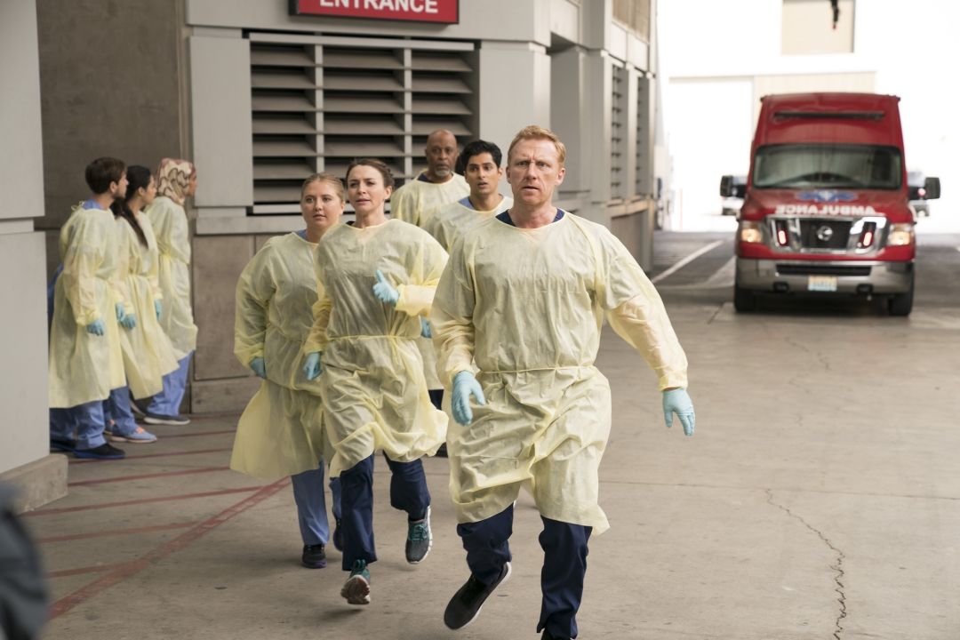 grey's anatomy (3)