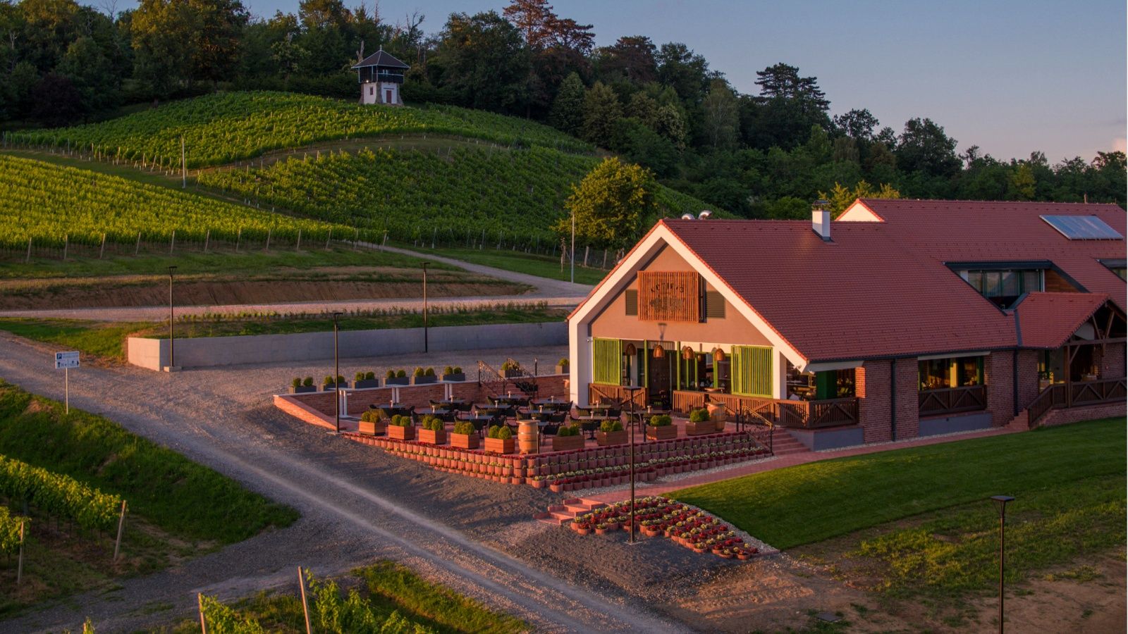 Gastro raj usred vinograda – otkrijte Slavonsku kuću Vinkomir