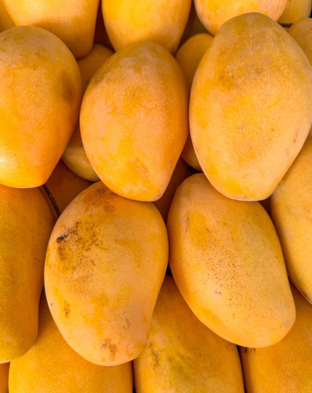 mango_iStock