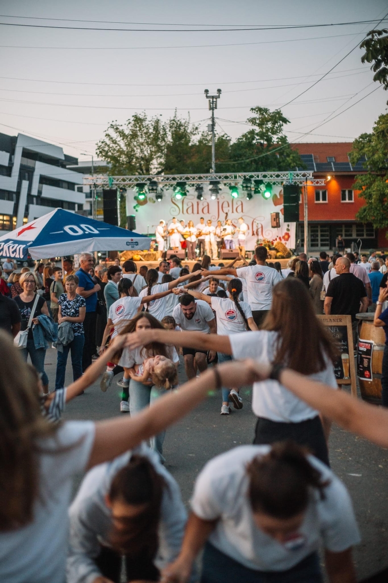 Stara jela z Dugog Sela