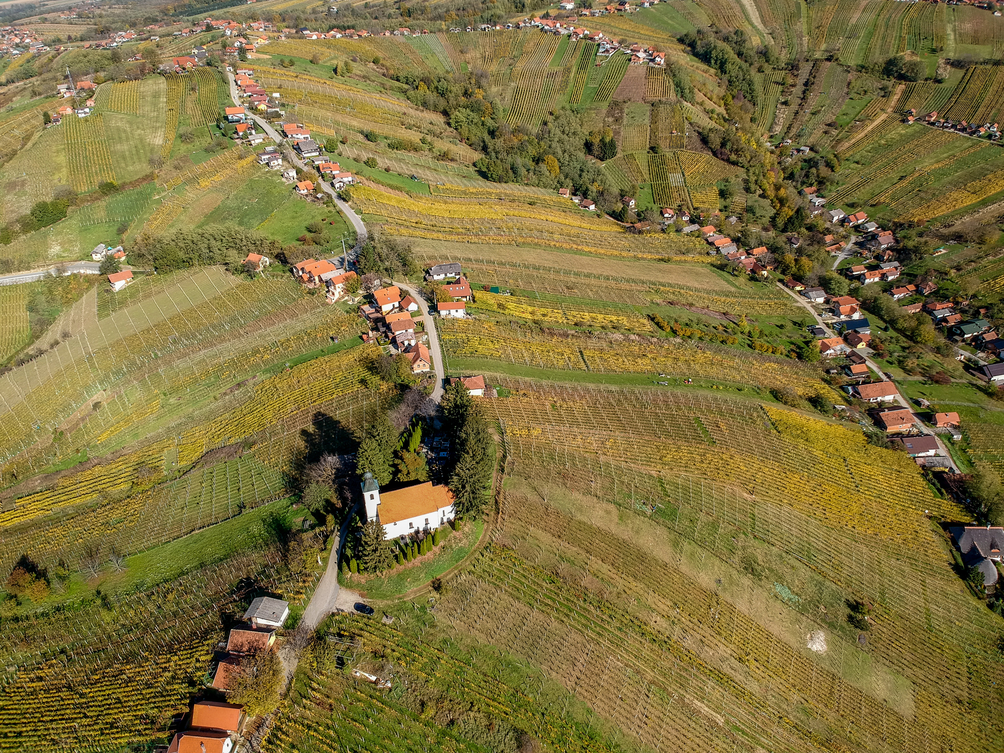 Lendava_anderm_iStock-966438238