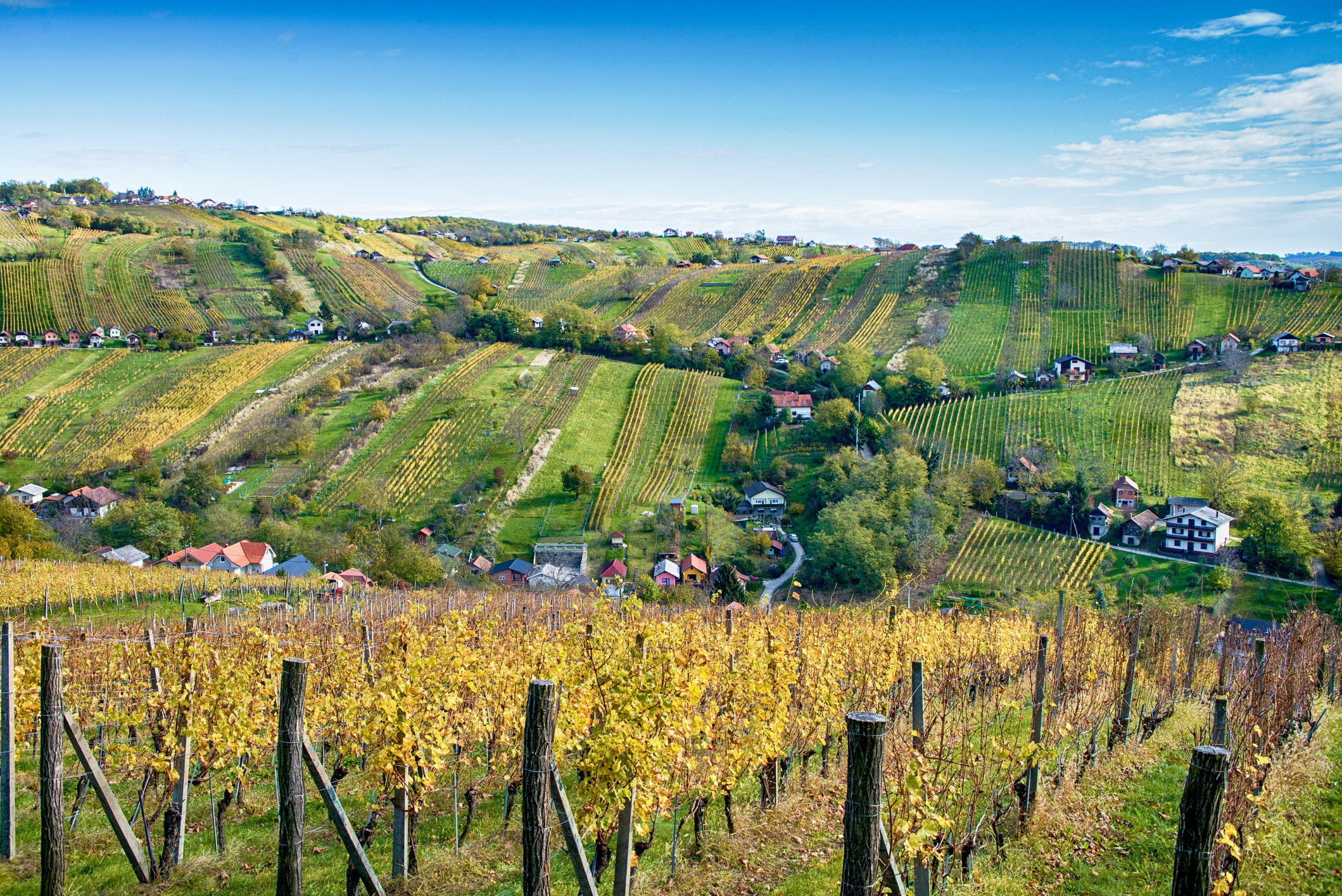 Lendava_foto_anderm_iStock-872773108