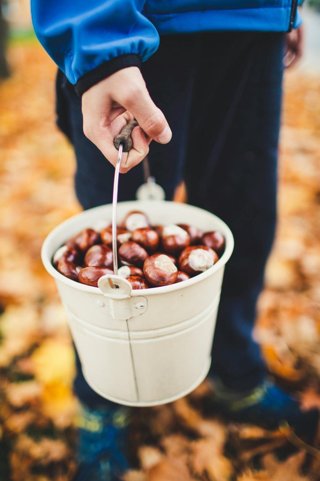 fall bucket list