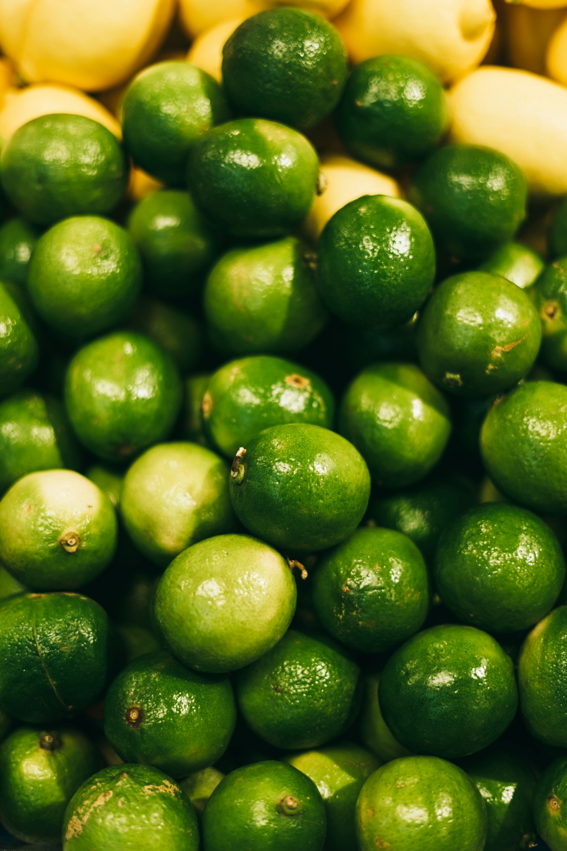 limeta_Unsplash