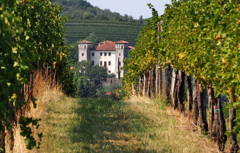 Dobrovo, Slovenija_foto_Luca Piccini Basile_iStock-1141972283.jpg