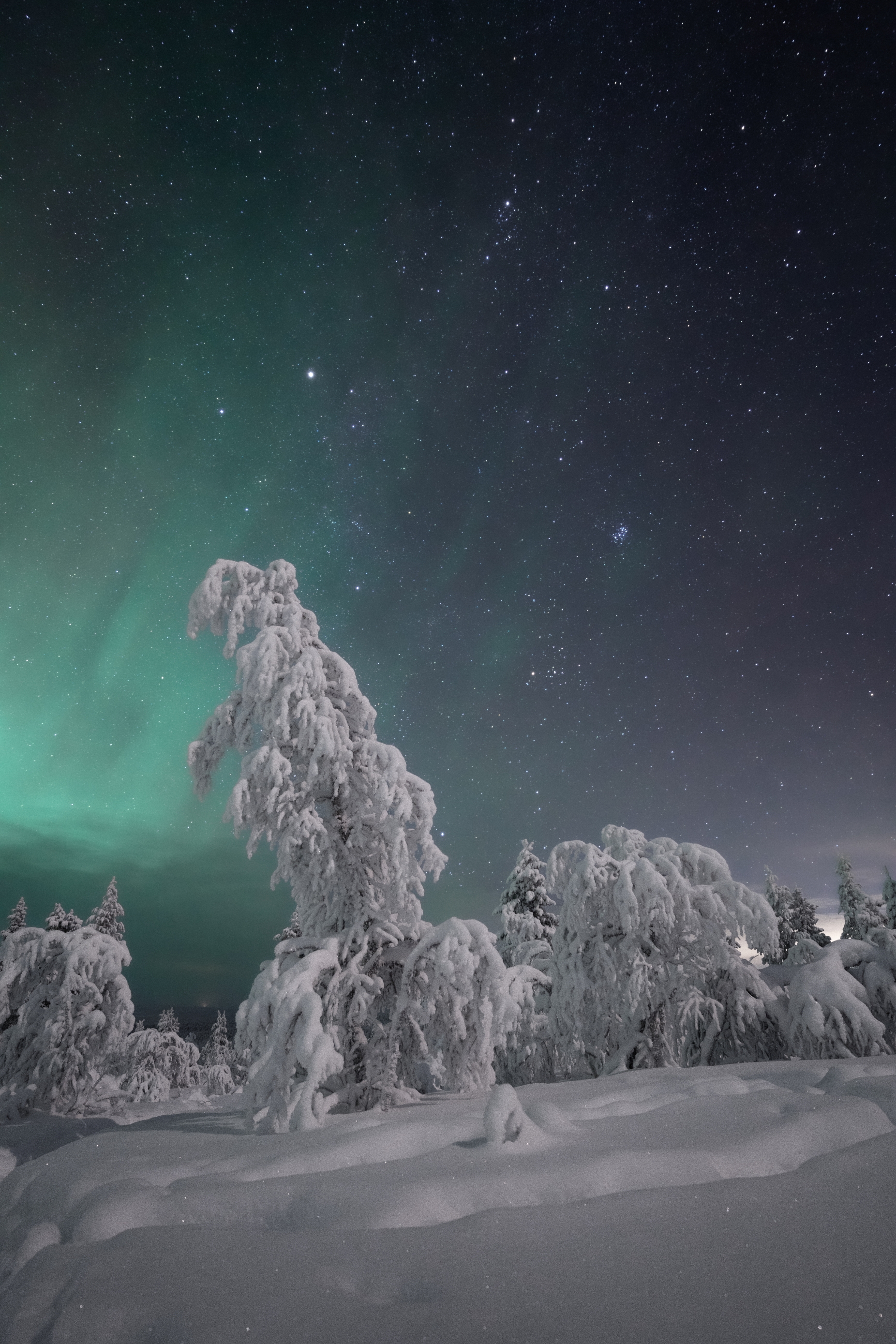 Finska, Laponija, Aurora Borealis _Viktorija i Bosko (112)