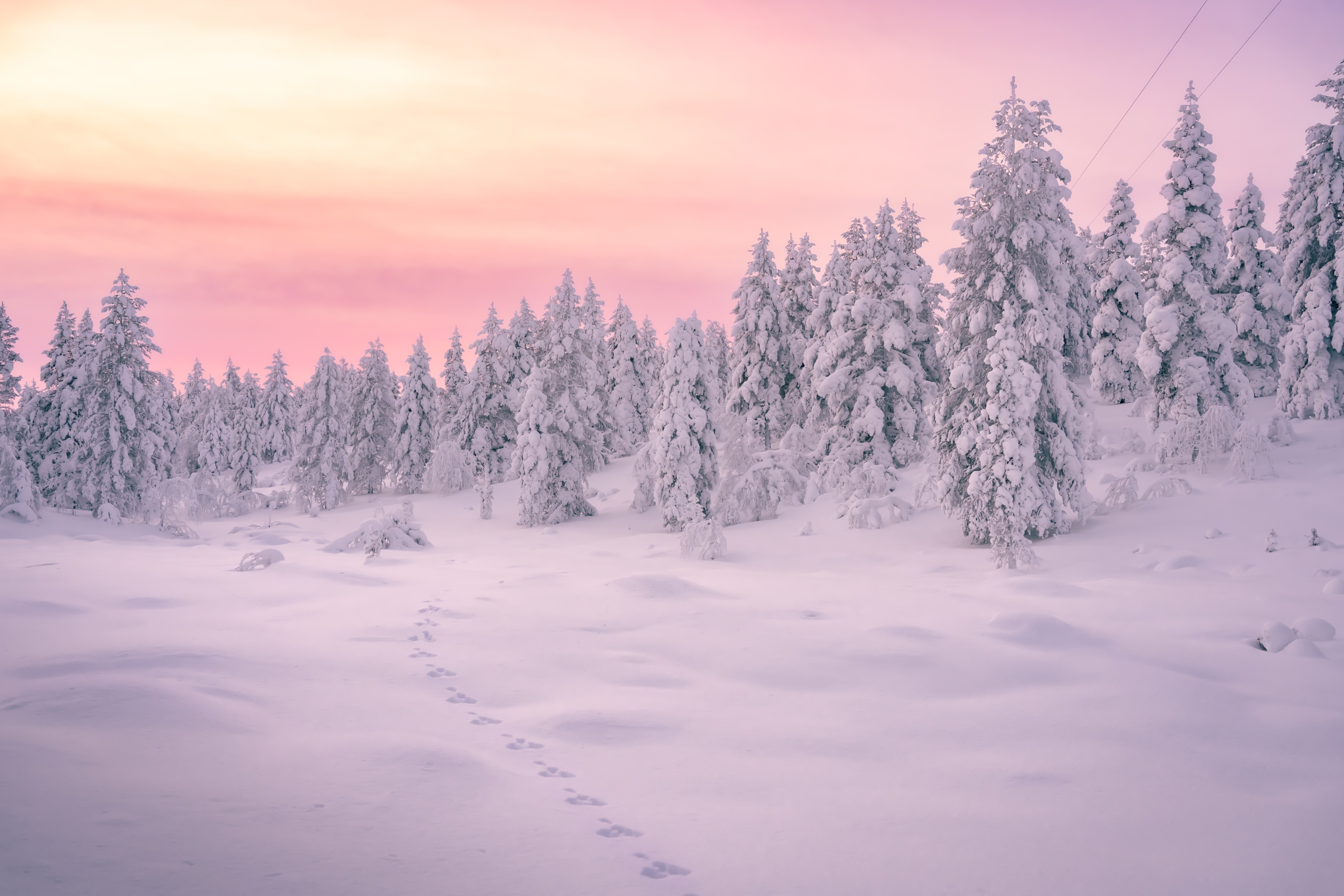 Čarolija finske Laponije i aurore borealis kroz objektiv istarskih fotografa Viktorije & Boška