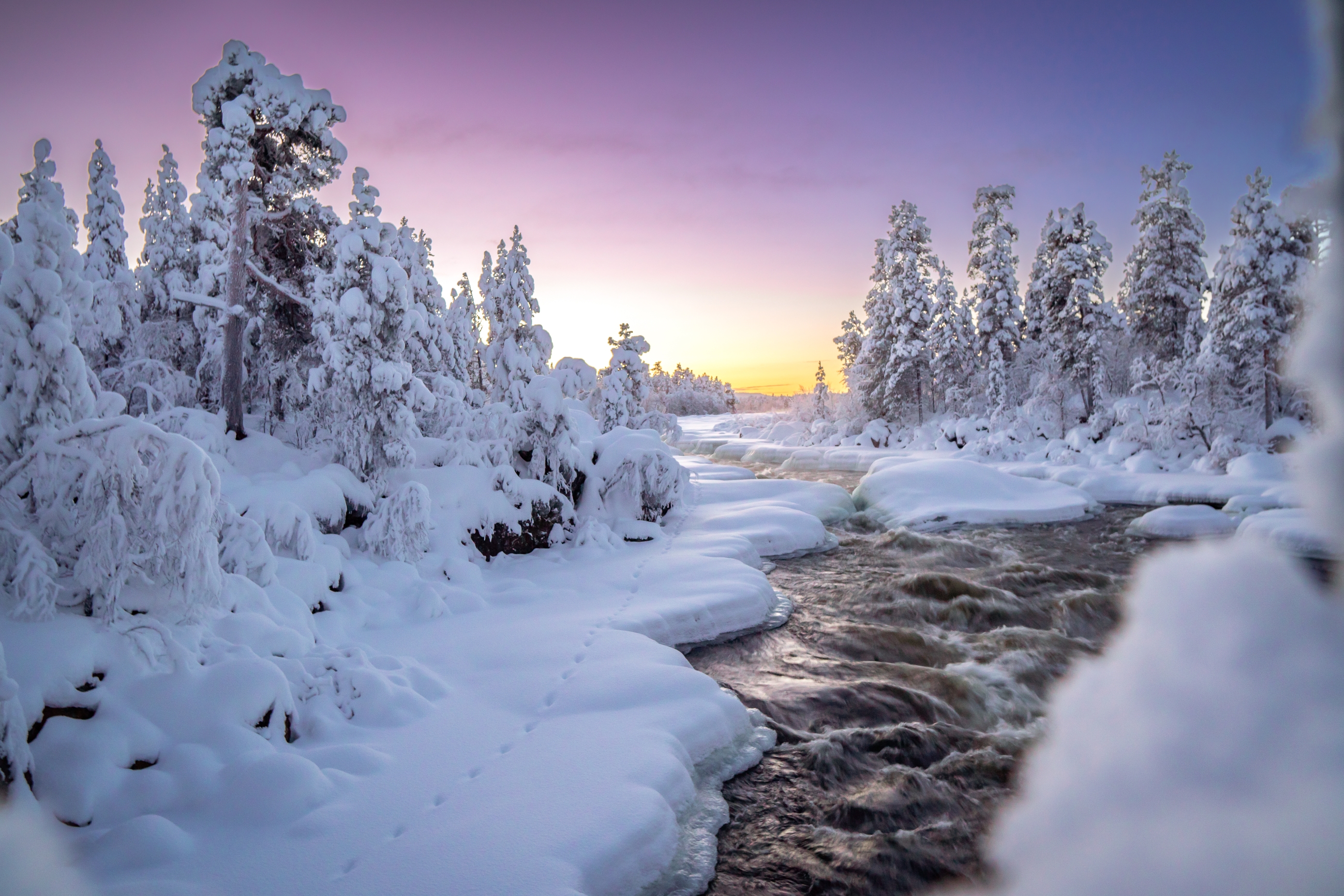 Finska, Laponija, Aurora Borealis _Viktorija i Bosko (72)