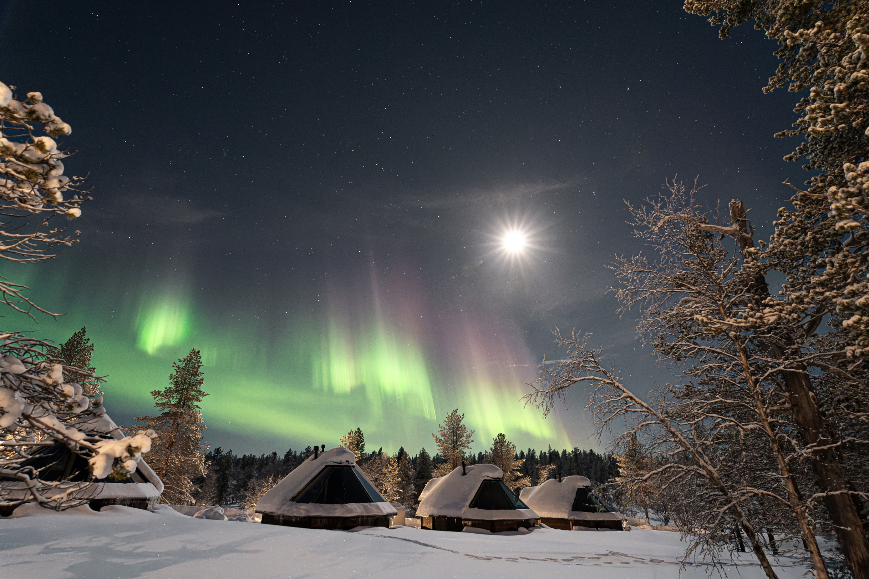 Finska, Laponija, Aurora Borealis _Viktorija i Bosko (88)