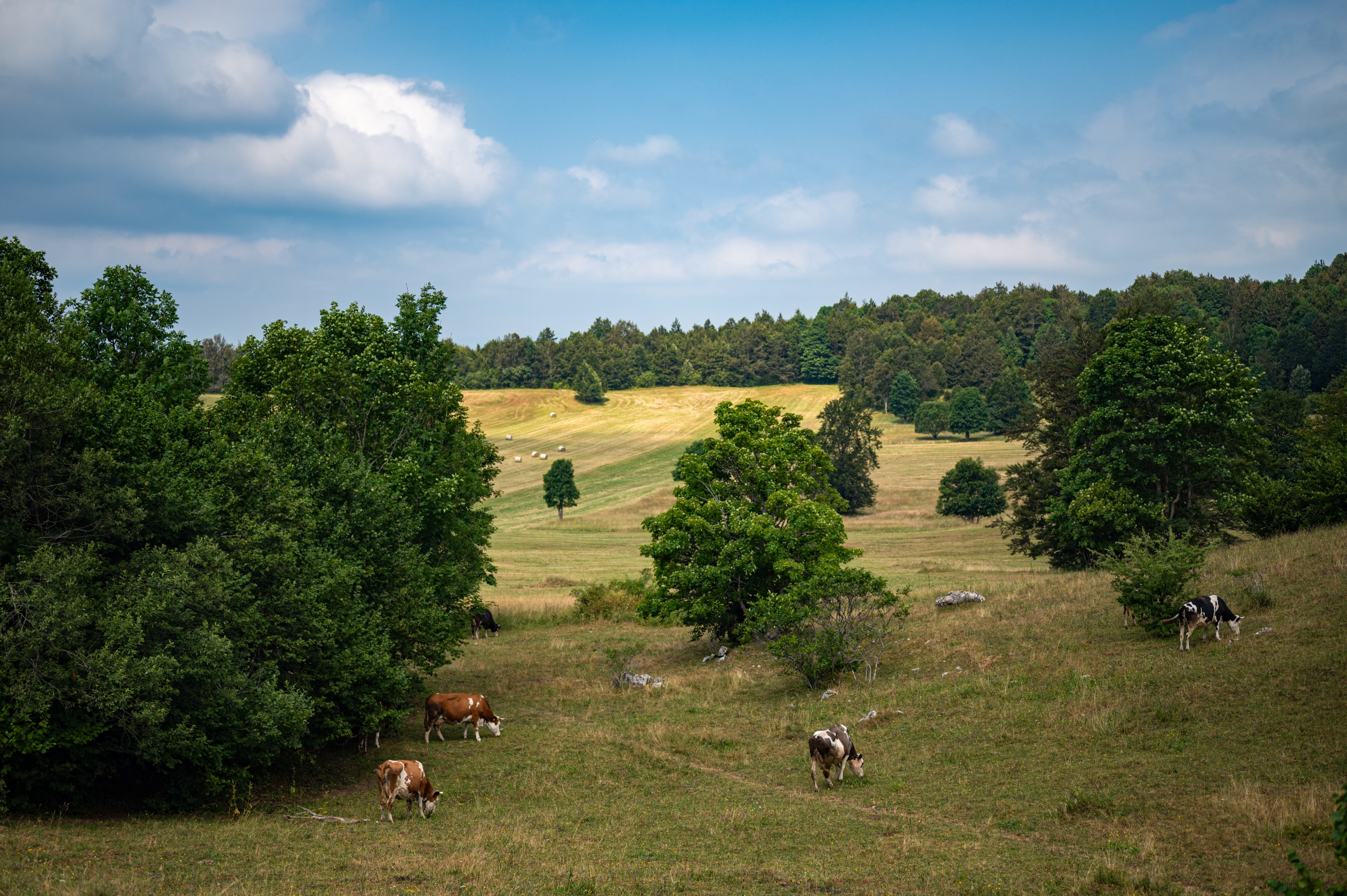 Gorski kotar_Posjeti me_HTZ (2)