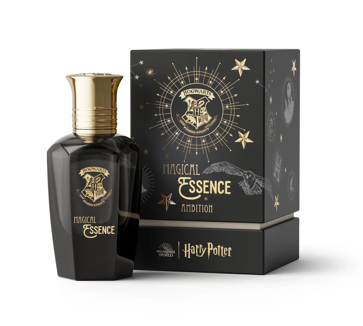 Harry Potter Magical Essence Ambition