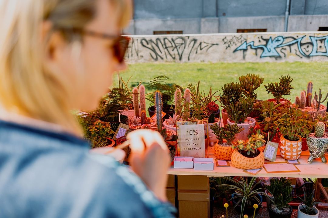 Kupite novu ili zamijenite staru za novu biljku na Plant Marketu koji se održava na Britancu 