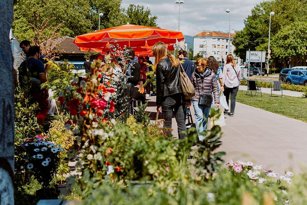 Kupite novu ili zamijenite staru za novu biljku na Plant Marketu koji se održava na Britancu 