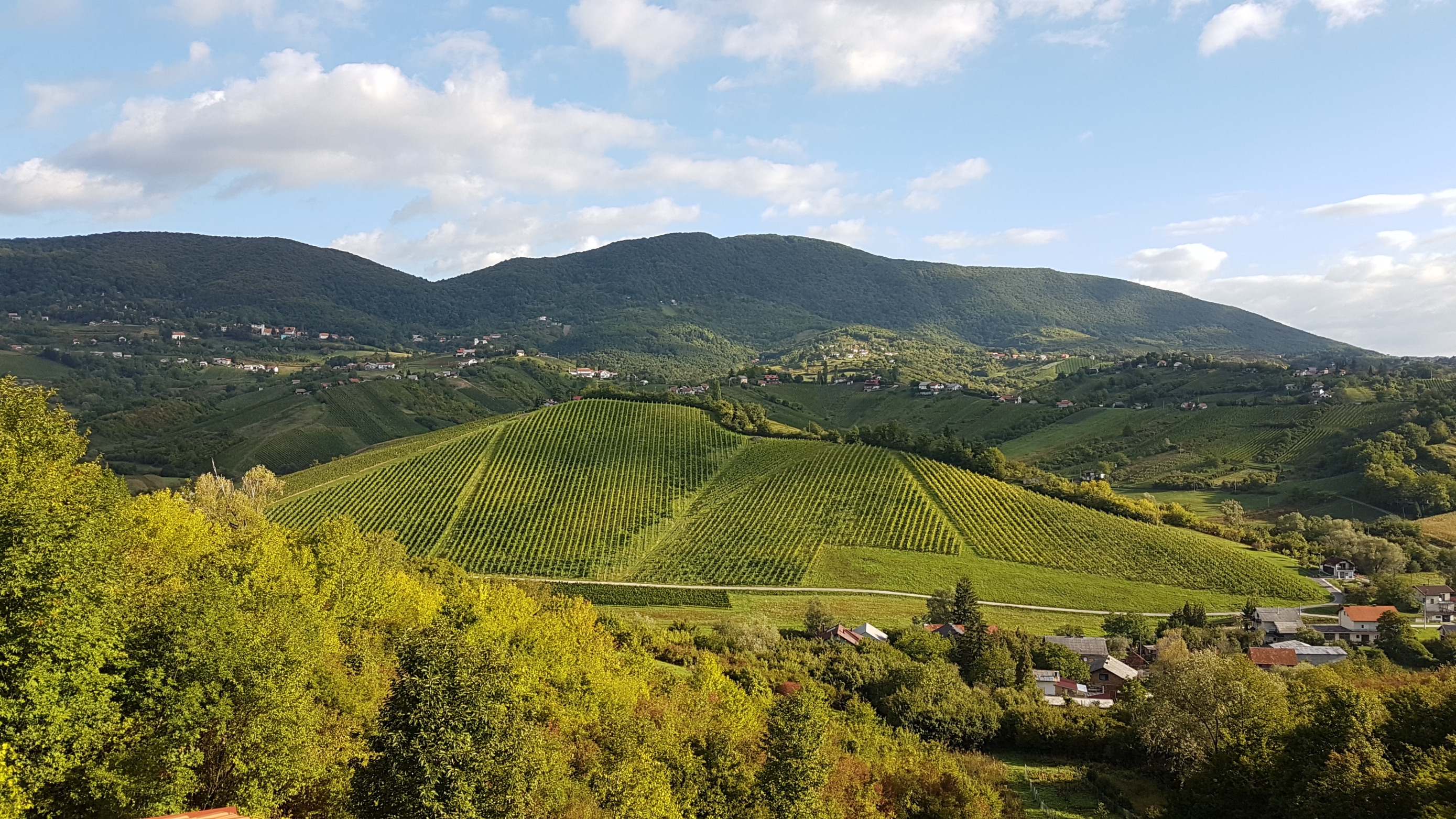 Sparkling Wine Fest Croatia