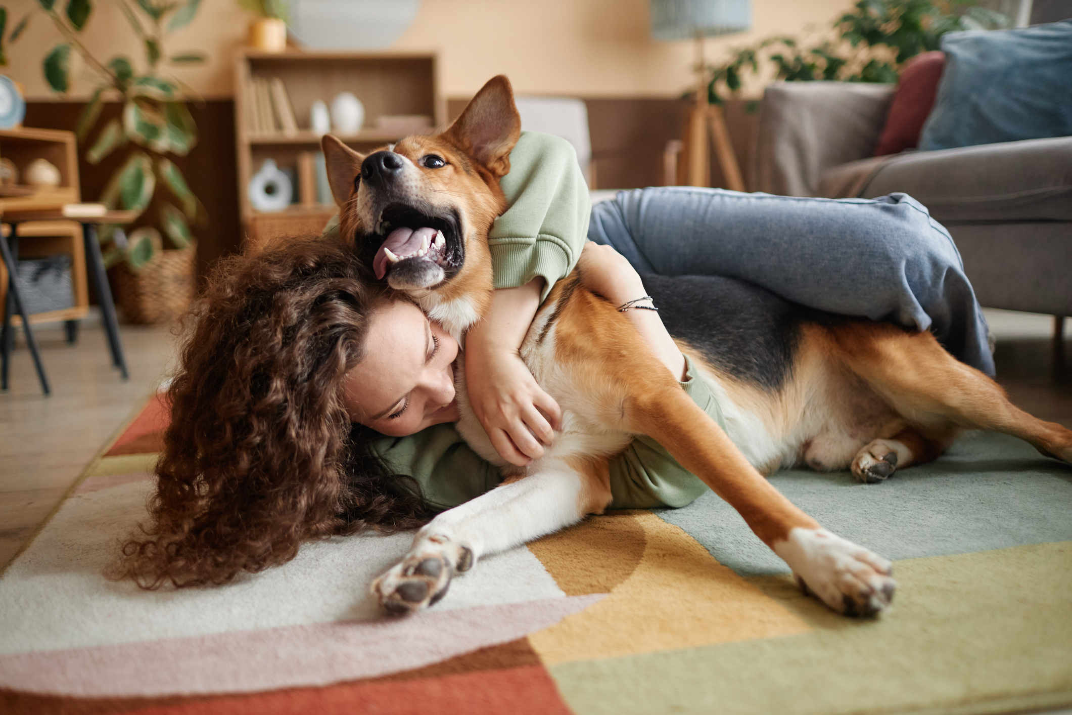 Otkrij svoj Pawfect Match! Kampanja koja vam pomaže da nađete savršenog ljubimca za sebe