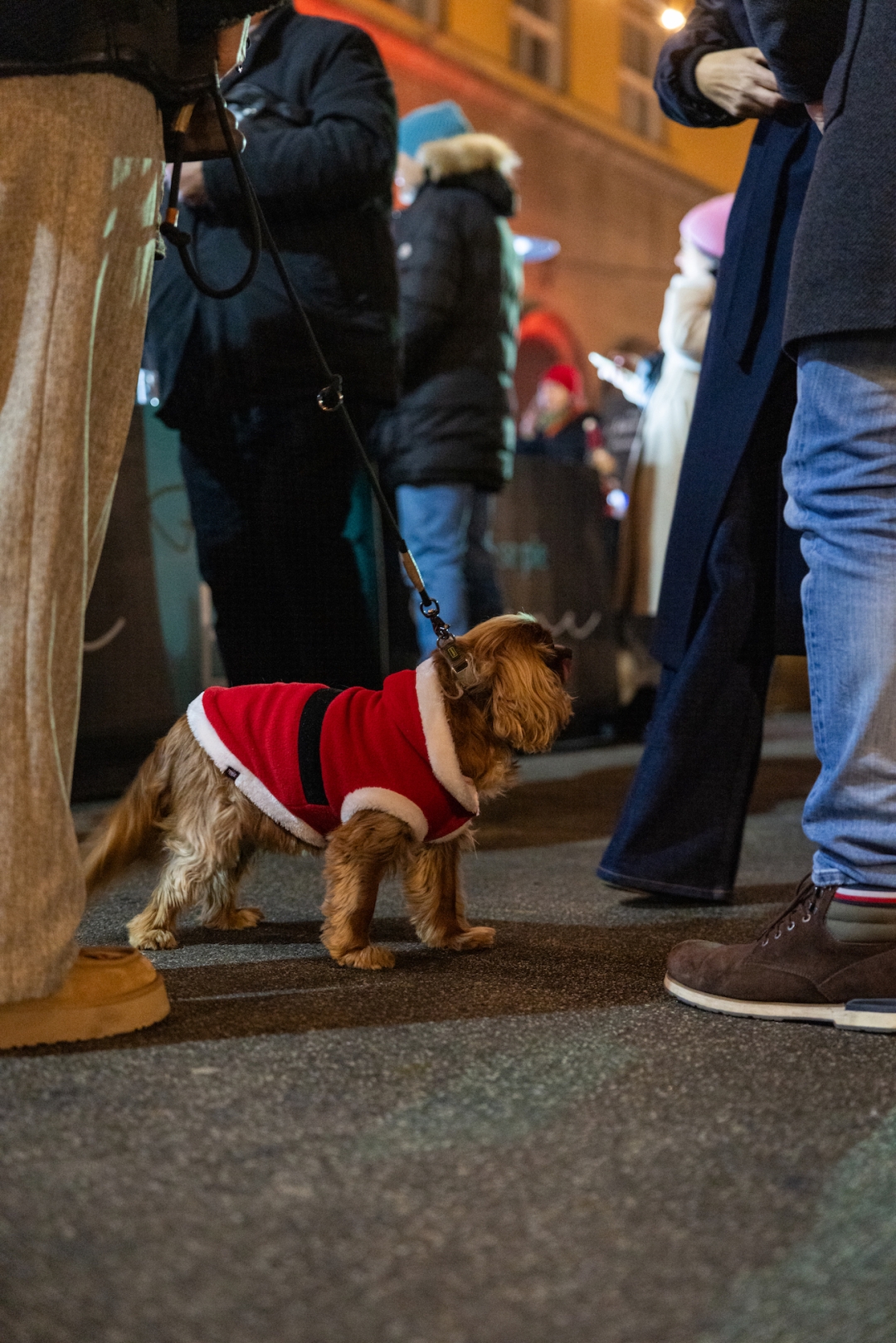 PLACe market Christmas