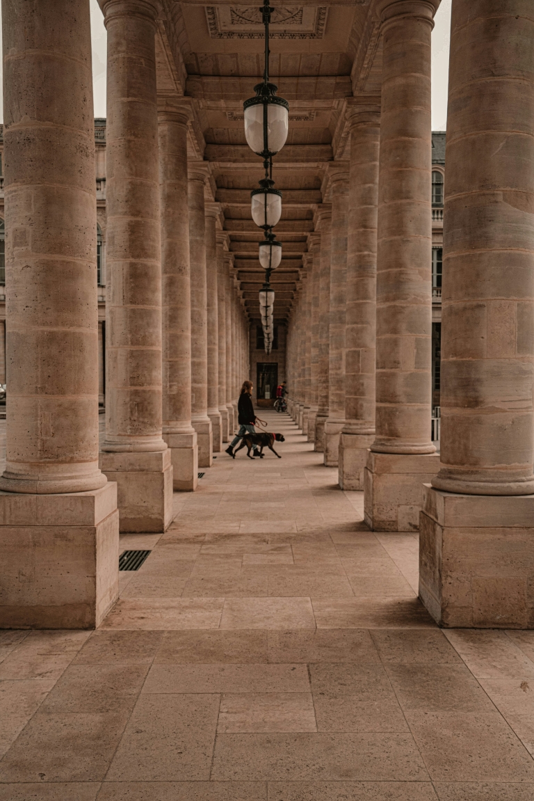 Palais Royal_prachi-gautam-e6kWLT45d5k-unsplash