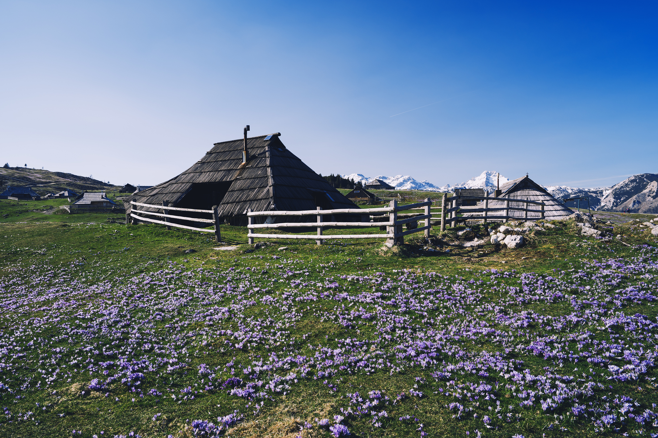 Velika planina_NataliaDeriabina_iStock-1208333842