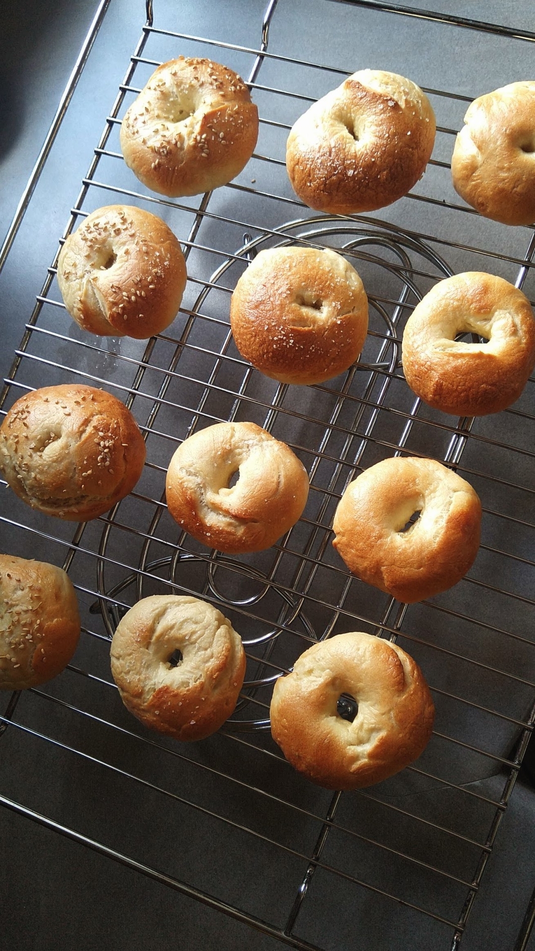 Brzi bagelsi od 3 sastojka trenutno su veliki hit: Mogu u pećnicu ili air fryer – imamo recept