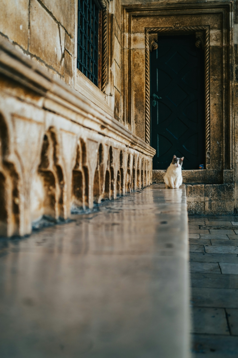 Dubrovnik_Unsplash