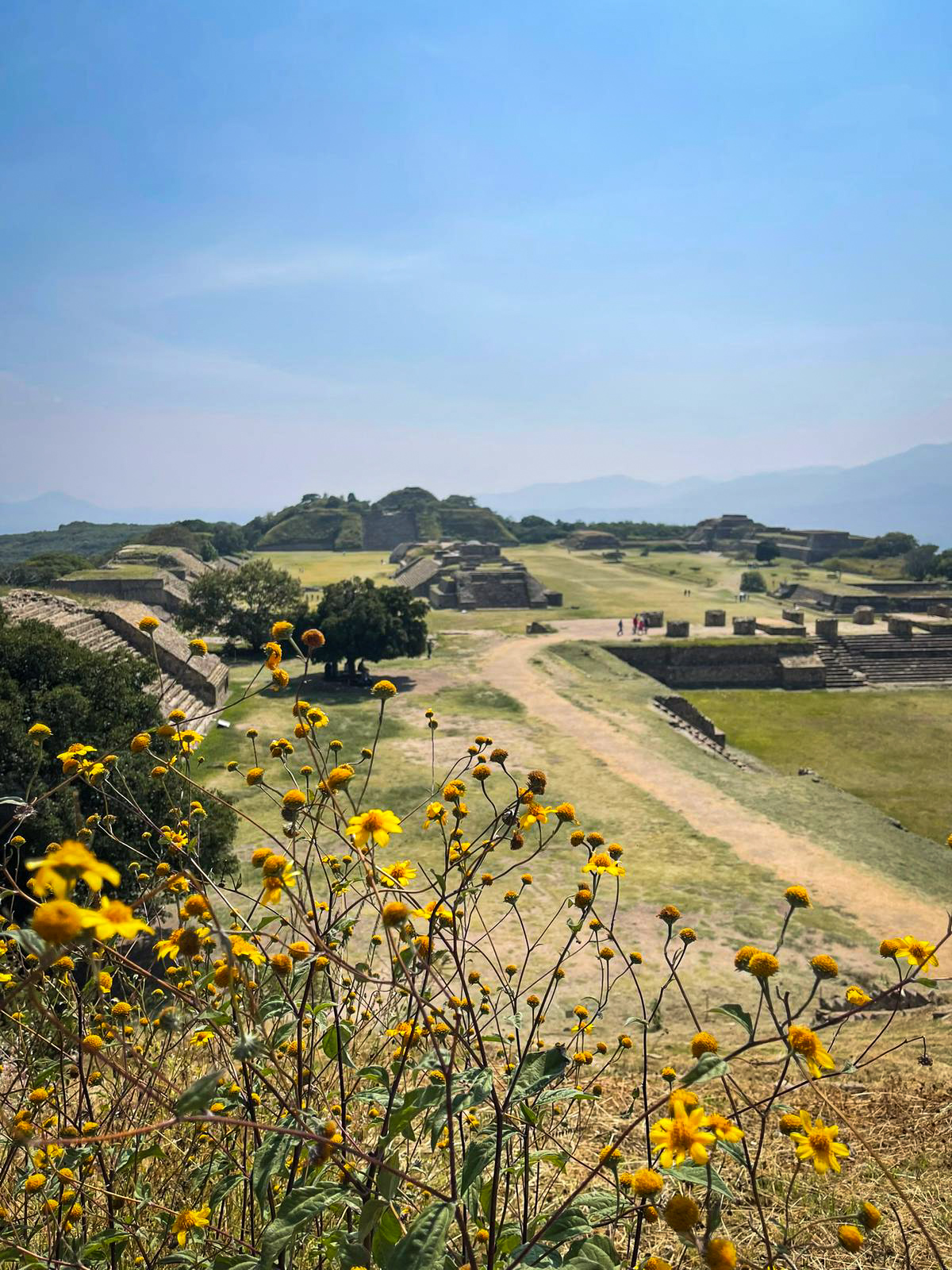 monte alban