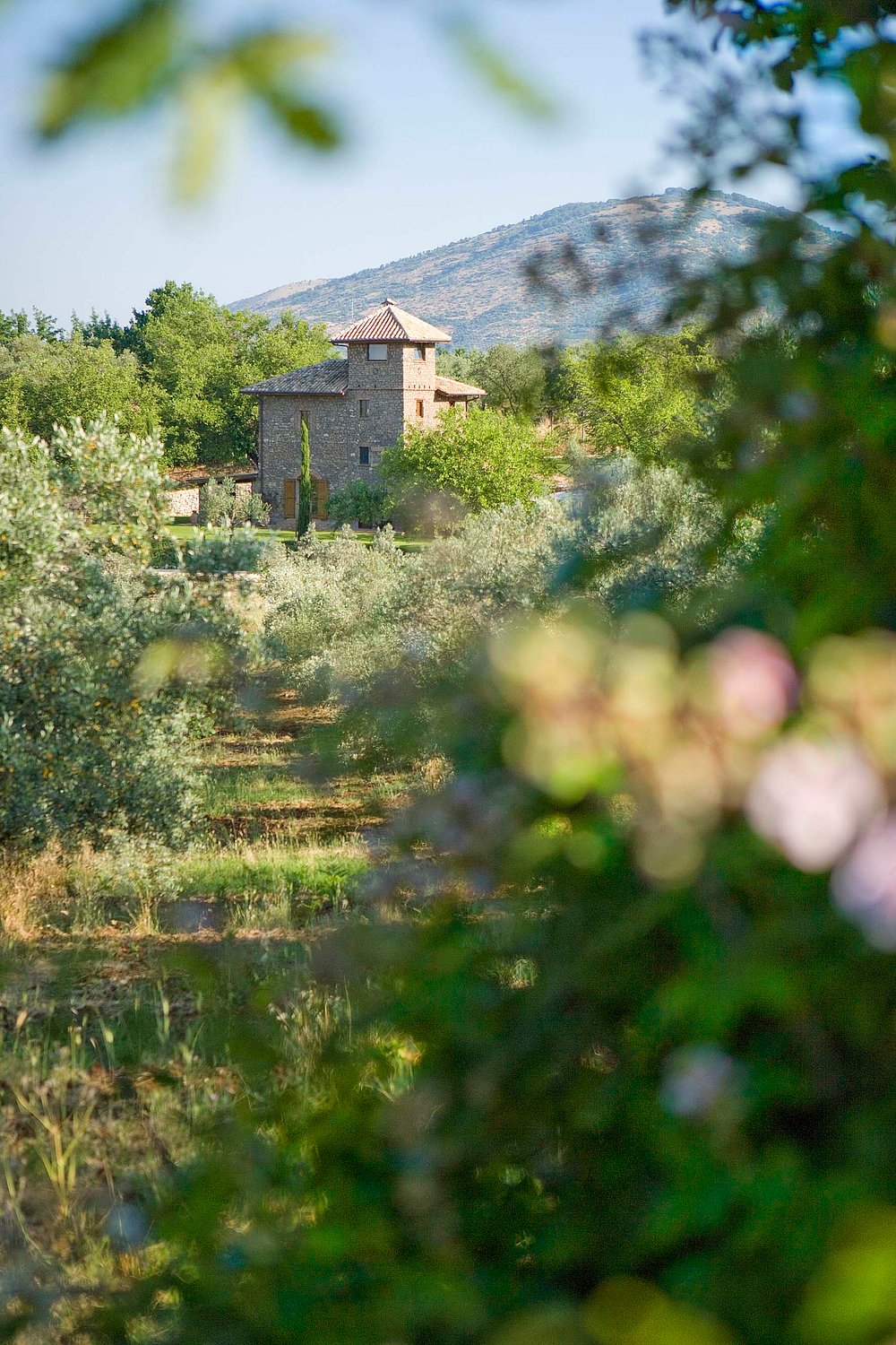 Il Torrino dei Gelsi