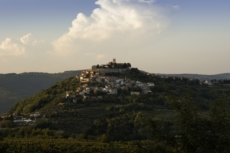 Motovun_Bambytalica_iStock-1041339124