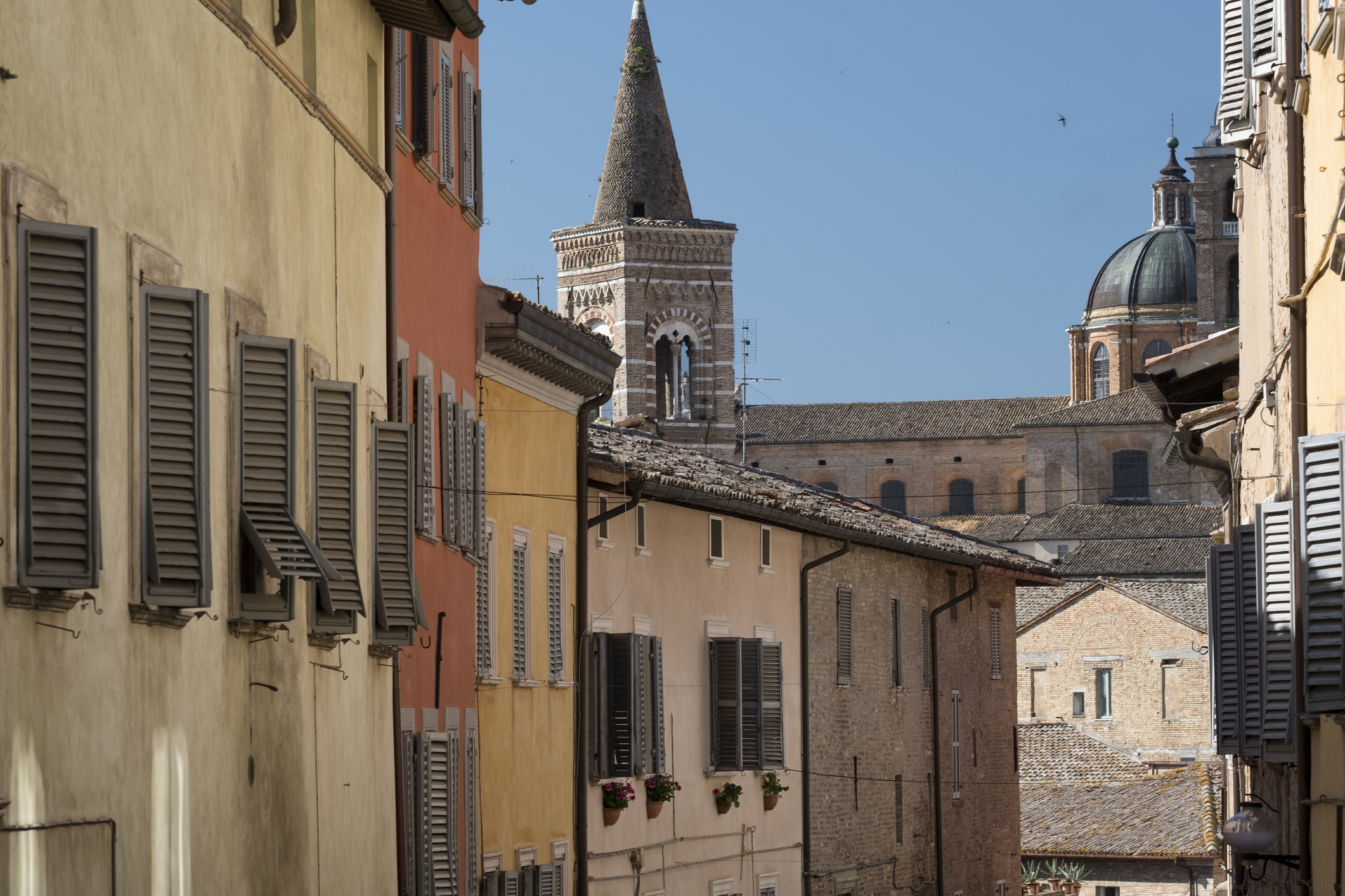 Urbino_clodio_iStock-866142676