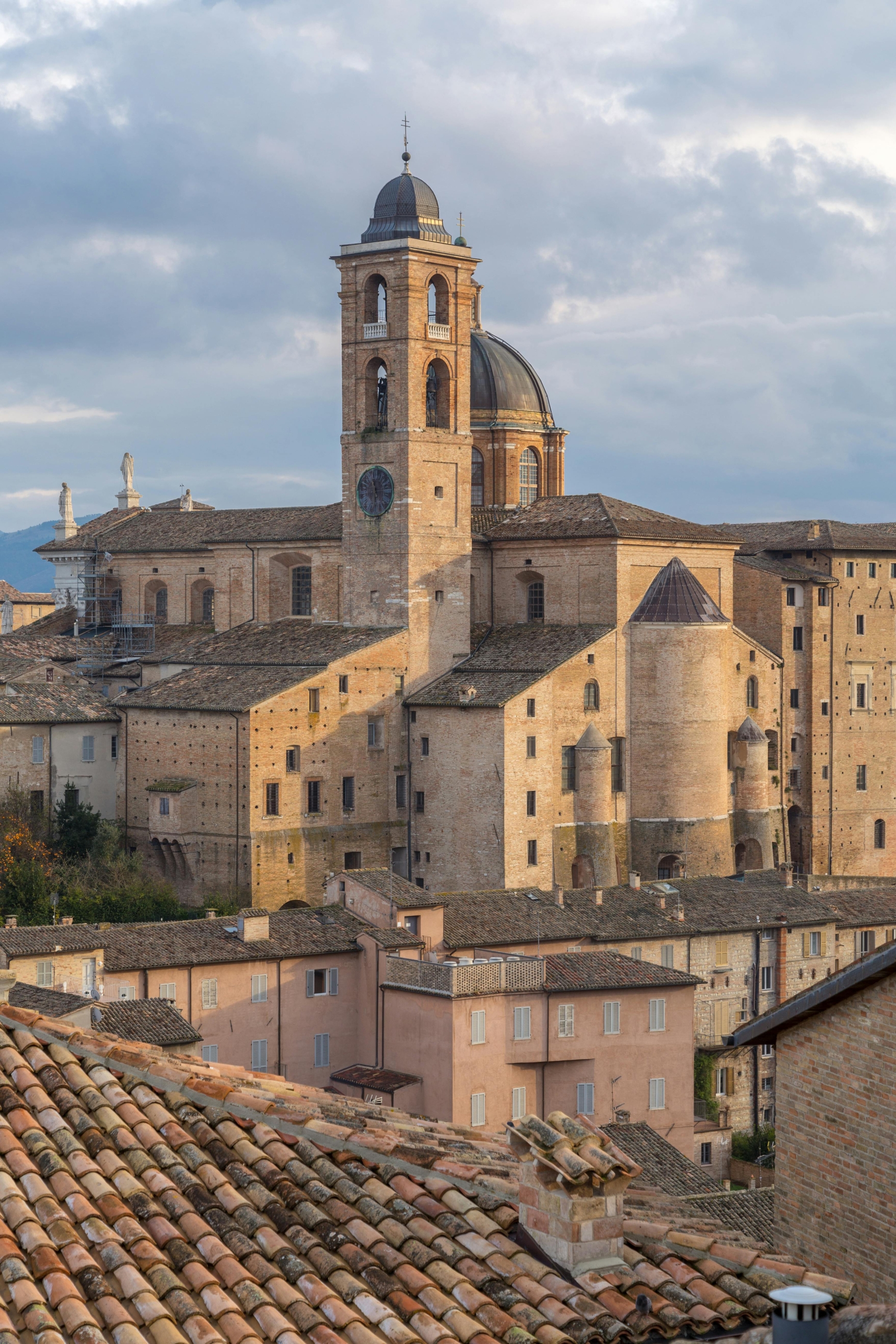 Urbino